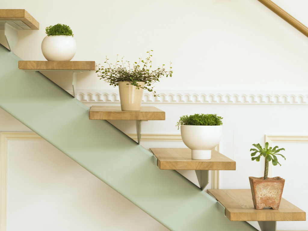 Adjustable wire plant stands for versatile display options - best shelves for plants